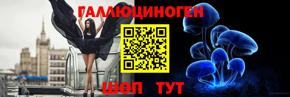 Псилоцибиновые грибы MAGIC MUSHROOMS Саратов